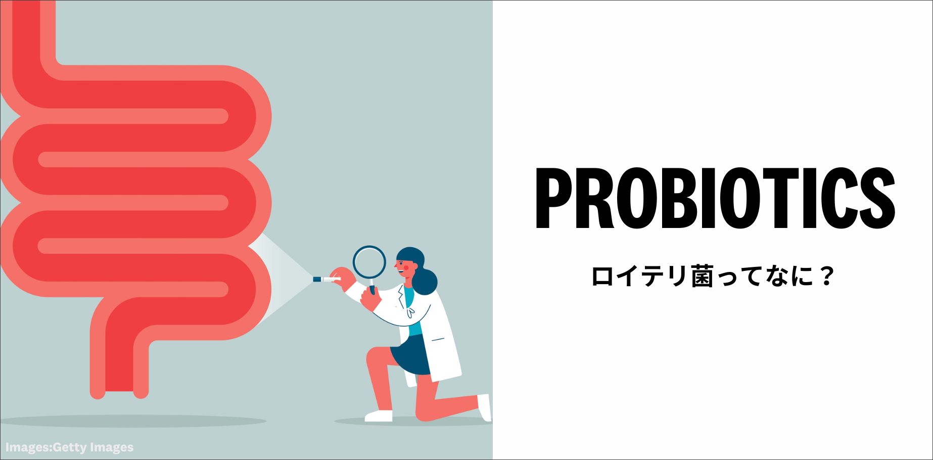 【PROBIOTICS】ロイテリ菌ってどんなもの？